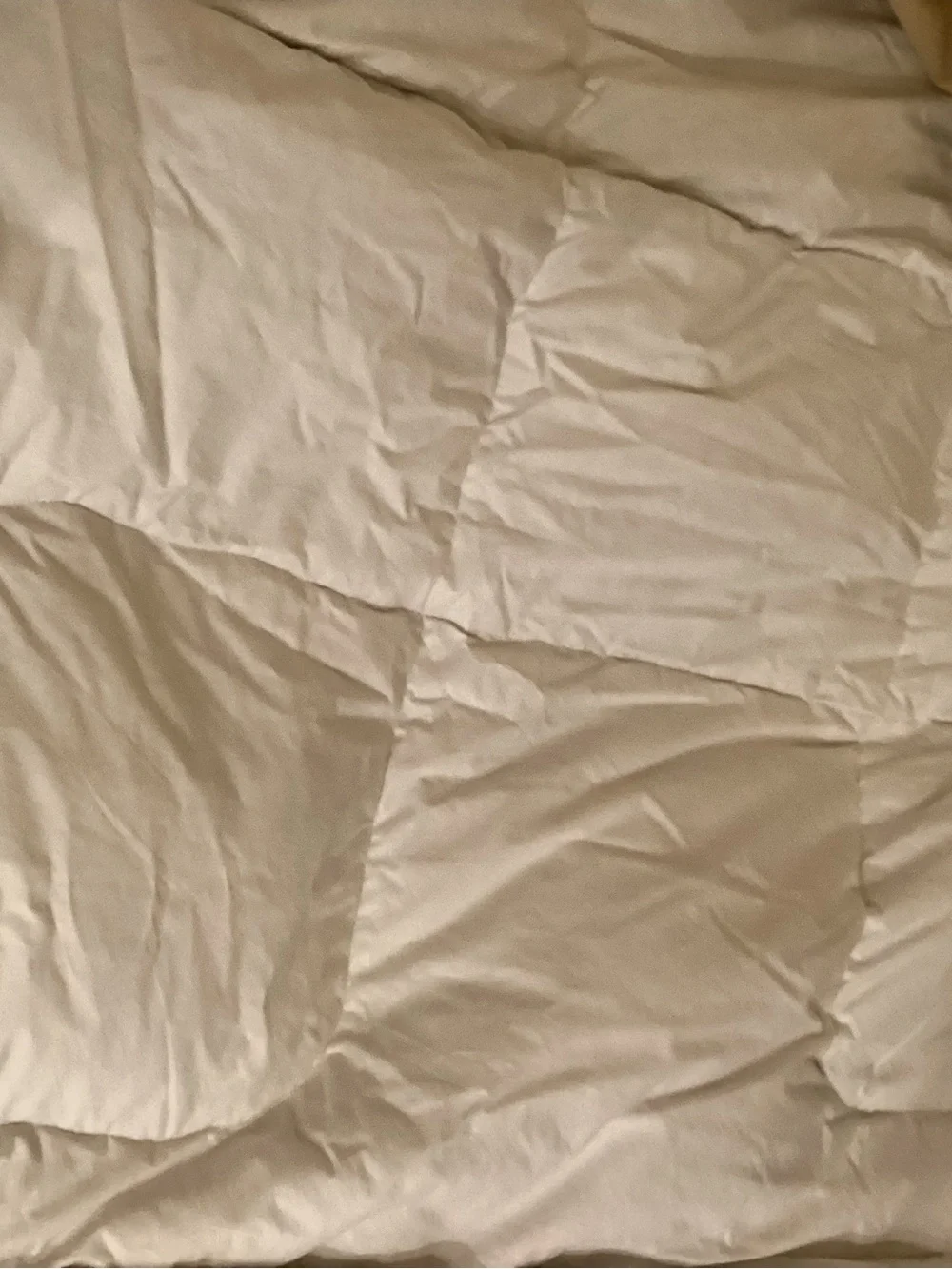 White boxed patter Quilted Down Comforter Cozy Bedding